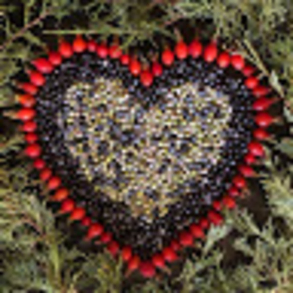 Meet your Posher, M - Picture 1 of 1